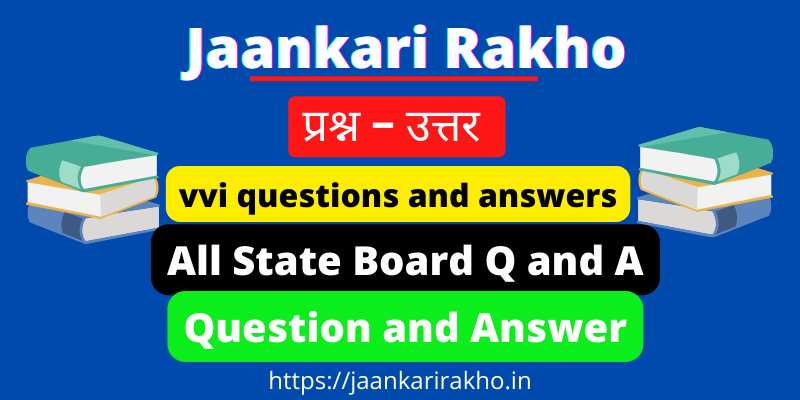 Q & A