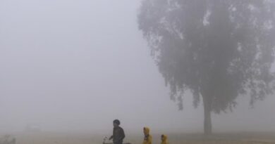 Bihar Weather Report: पटना में शीतलहर जैसे हालात, पश्चिमी विक्षोभ अभी और बढ़ेगी ठंड; कोहरे का…….